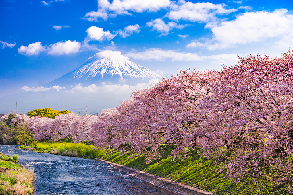 japan-1