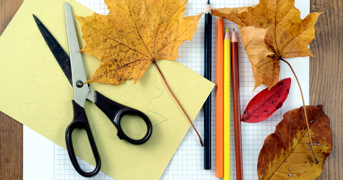 autumn drawings