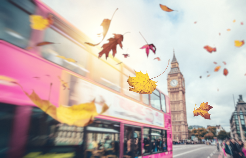 London-pink-bus