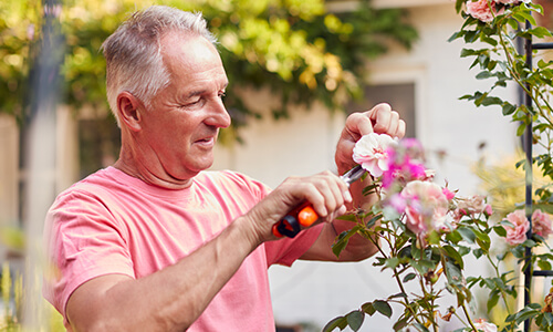 older-man-gardening