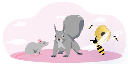 Illustration of common pests