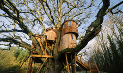 luxury-treehouse