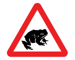 Toad Road Sign