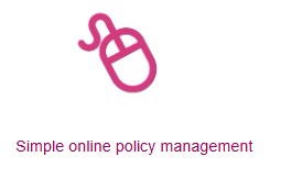 online policy 