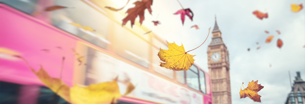 London-pink-bus